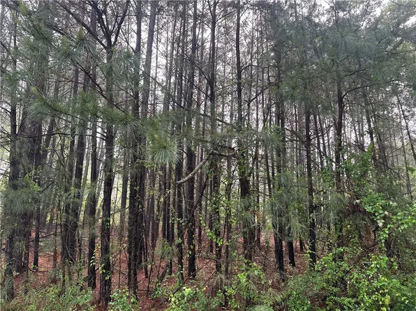 Redmond Road Pottsville, Pottsville, AR 72858