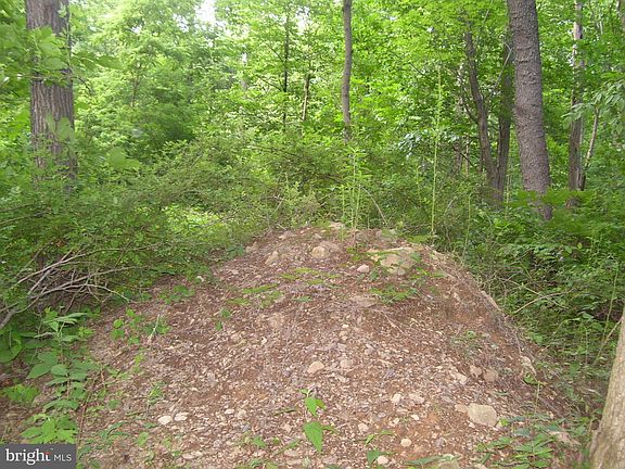 3rd image of Cumberland Hwy Lot 8