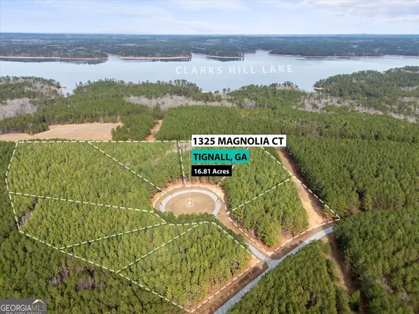 0 Magnolia Ct, Tignall, GA 30668