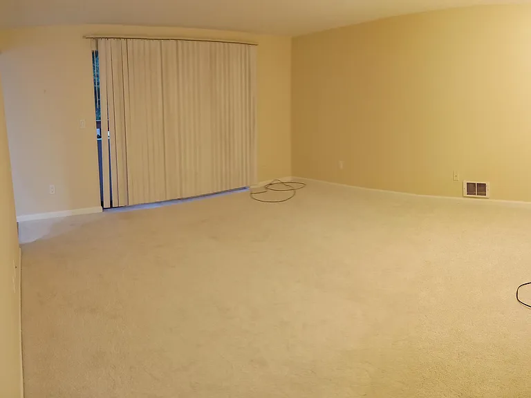 Spacious Living room with huge sliding door to back porch area.