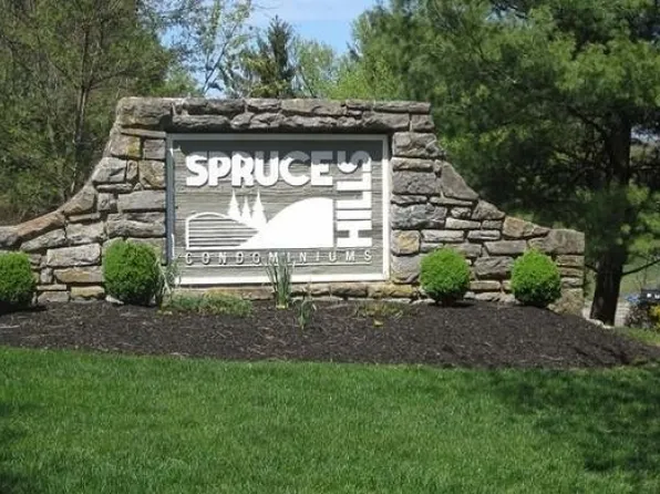 2008 Spruce Hills Dr, Glen Gardner Boro, NJ 08826