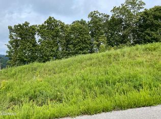 Cameron Ln, La Follette, TN 37766