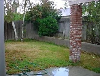 Easy Clean Backyard!!