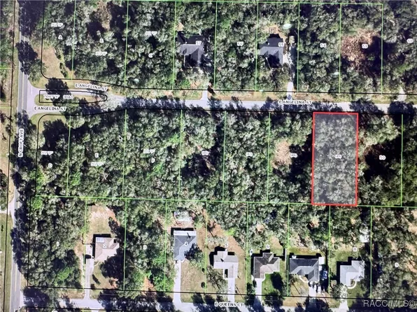 3054 E Angelina St, Inverness, FL 34453