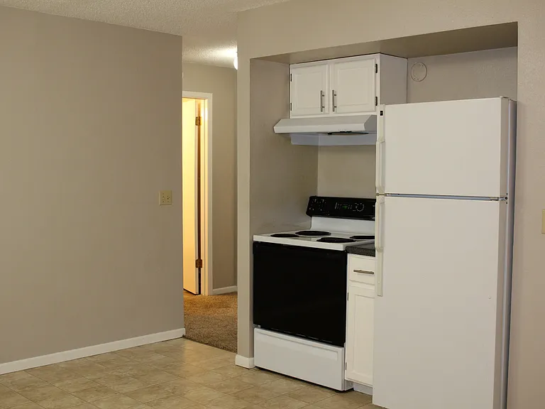 Apt 301 - 03_11192019