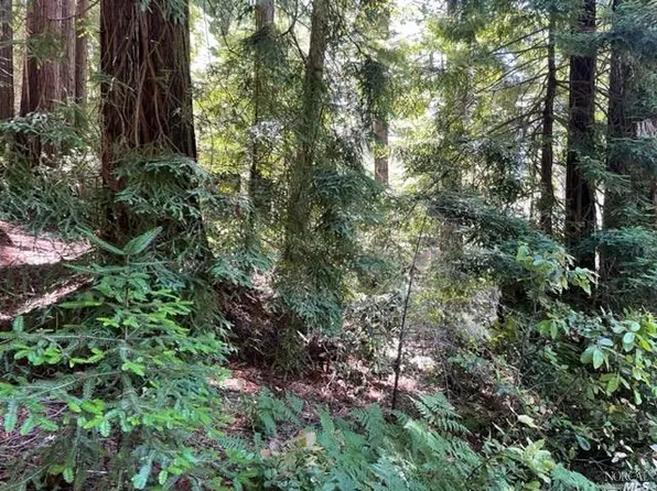 0 Pacific Woods Road, Gualala, CA 95445