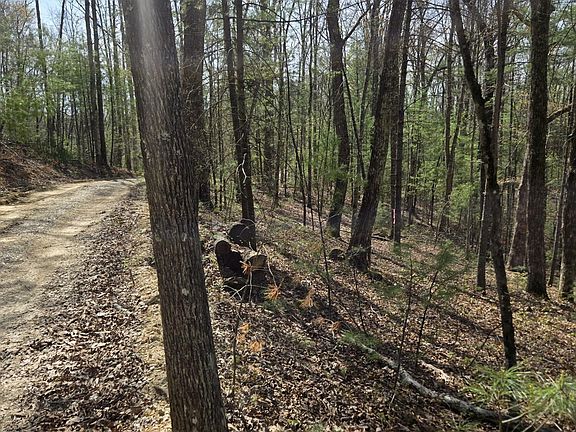 5th image of 999 Victory Falls Rd Lot 11