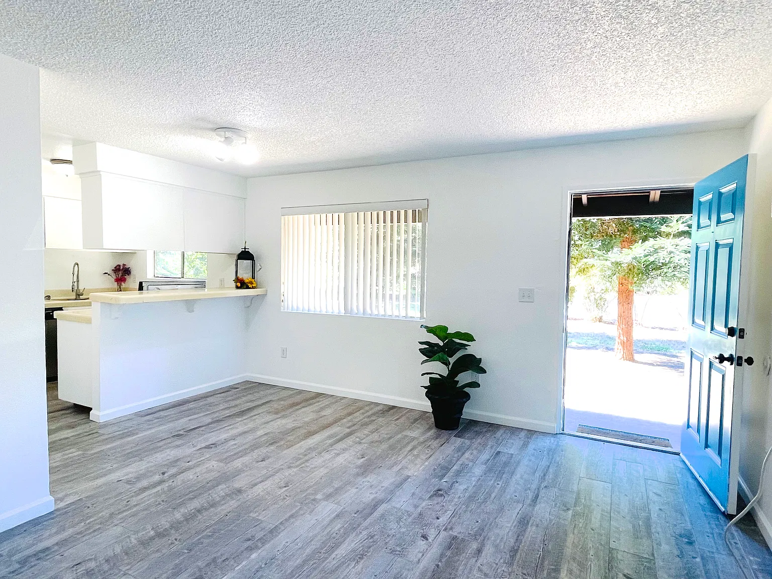 2 bed, $1,250 — Photo 2