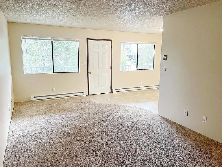 1113 Billy Frank Jr St — Photo 6
