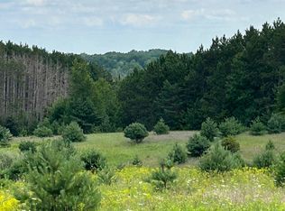 Cook Rd, Williamsburg, MI 49690