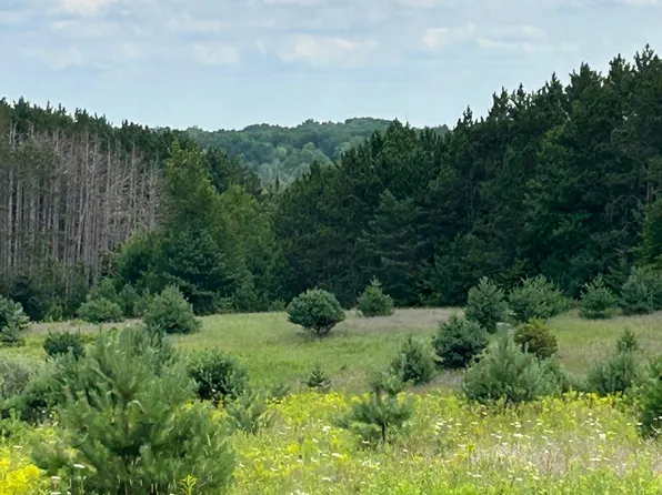 Cook Rd, Williamsburg, MI 49690