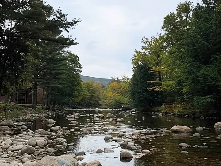 River behind the condo