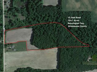 Gale St, Morrice, MI 48857