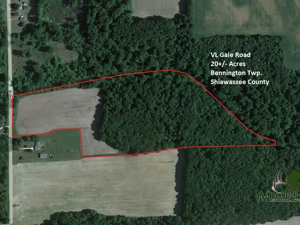 Gale St, Morrice, MI 48857