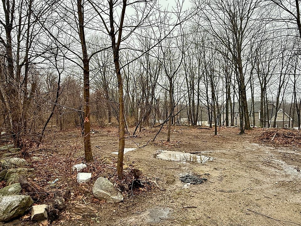 2nd image of 0 Lyons Rd