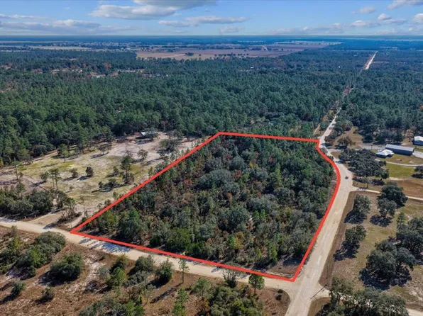 NE 127th Ct, Williston, FL 32696