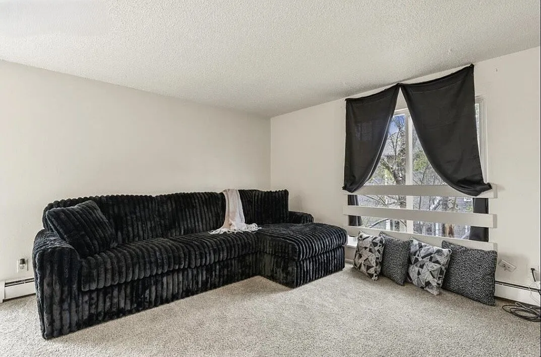 2 bed, 1.0 bath, 800 sqft, $1,145 — Photo 3