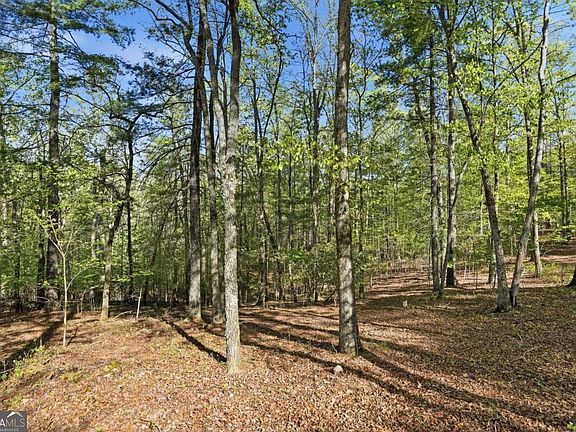 5th image of 0 Mill Trace Ct