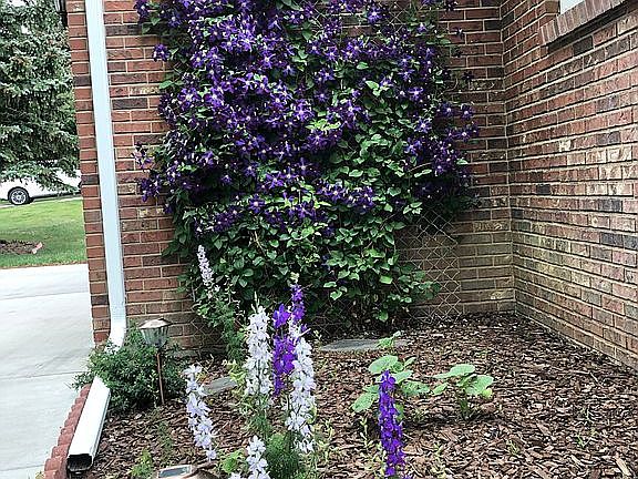 entrance garden