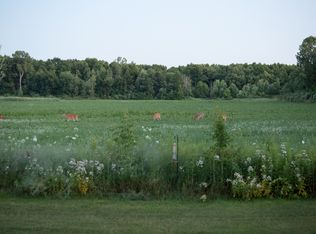 4852 Paladin Dr, Shelby Township, MI 48316