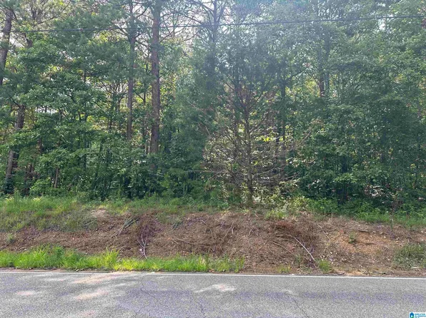 LOT 11 Deer Chase Rd Lot 11, Mc Calla, AL 35111