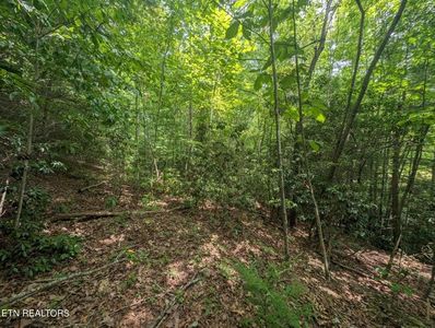 0 Panther Branch Rd, Jamestown, TN, 38556
