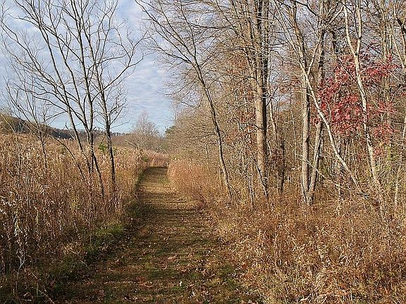 Winter Walking Trail