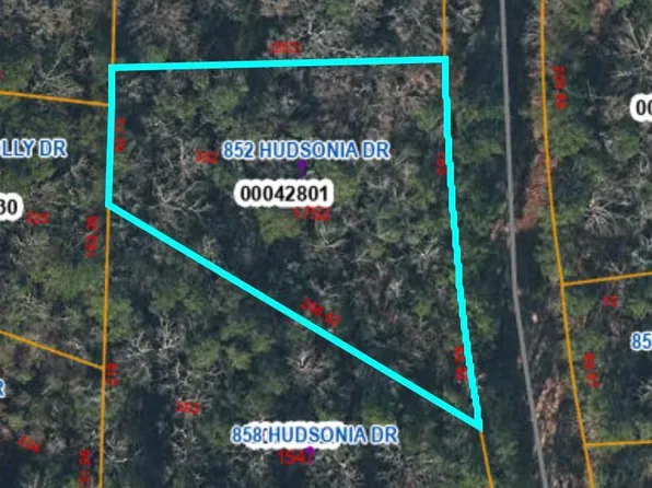 852 Hudsonia Drive, Vass, NC 28394