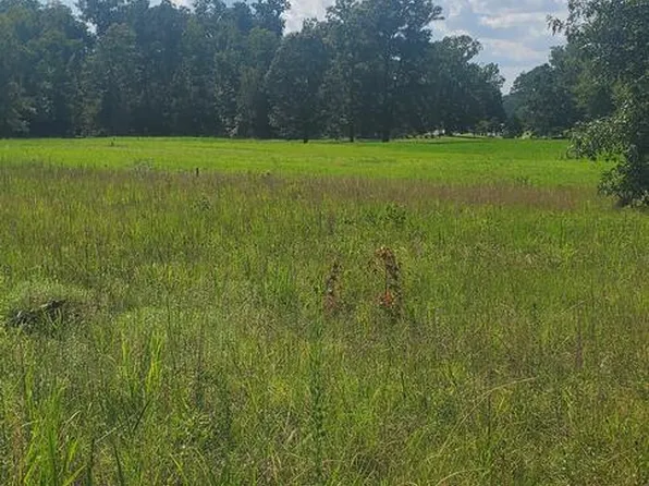 1013 Scurry Church Rd, Chappells, SC 29037