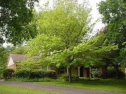3205 Citadel Ct photo 1