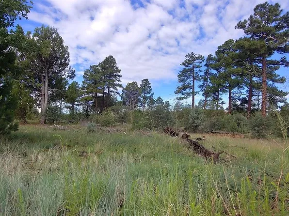 5139 State Highway 260, Clay Springs, AZ 85923