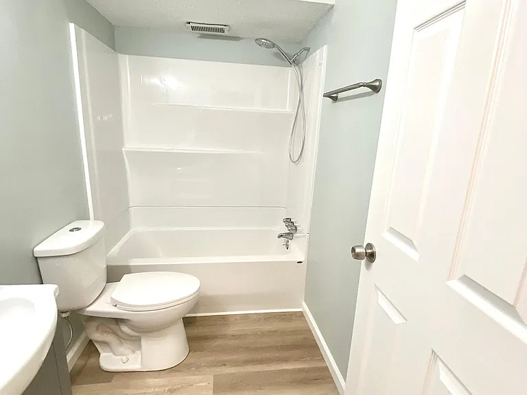 Euro Vanity and sink, green dual flush toilet