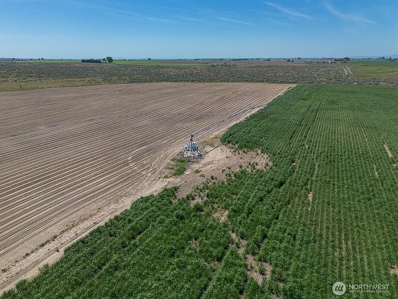 5th image of 4601 SR 17