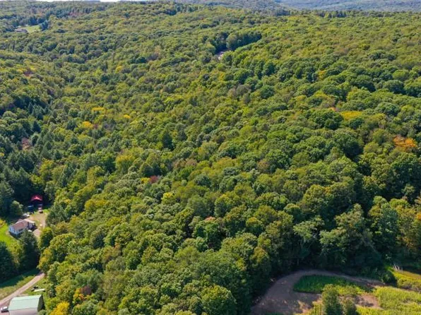 16 E Bittinger Rd, Grantsville, MD 21536