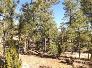 2304 Sunrise Rd, Overgaard, AZ 85933