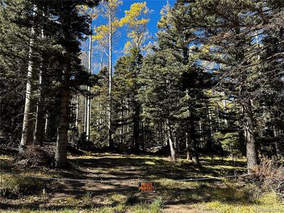 3076 Henderson Drive LOT 3076, Fort Garland, CO, 81133