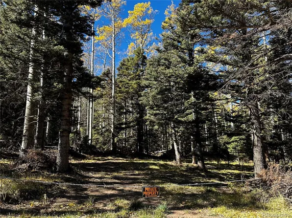 3076 Henderson Drive LOT 3076, Fort Garland, CO 81133