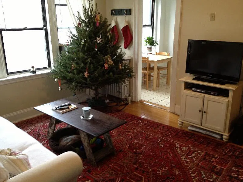 1 bed, 9999 sqft, $2,500 — Photo 3