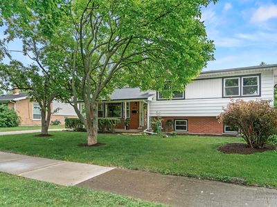 925 S Chestnut Ave, Arlington Heights, IL, 60005