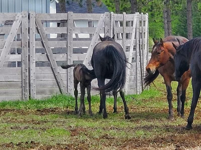 46011 100th Ave, Tamarack, MN 55787 MLS 6405717 Zillow