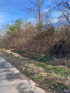 26 Aspin Ln, Scottsboro, AL, 35769