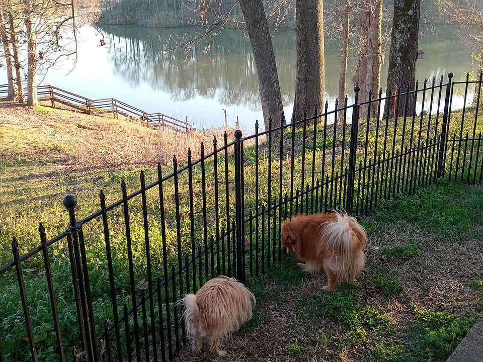 460 Blue Lake Dr, Lake Cormorant, MS 38641 Zillow