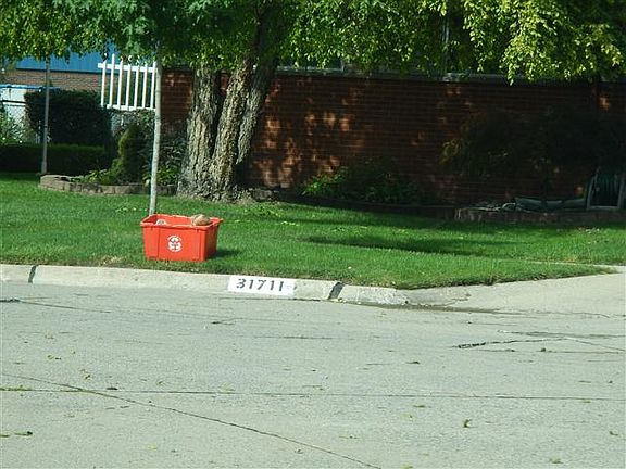 2nd image of 31711 Stricker Dr