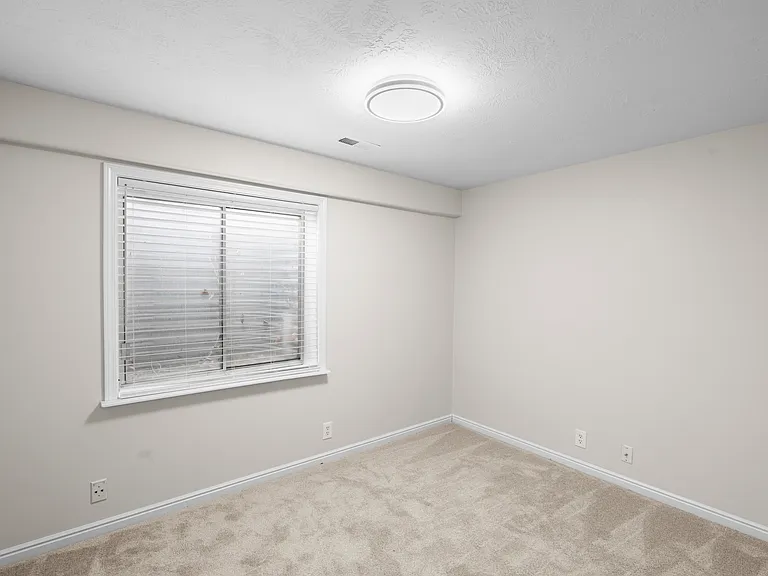 E Candle Spruce Cv — Photo 19