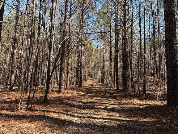 Ac30d1ba A21d 4aca B63c 2f4e529e83ca