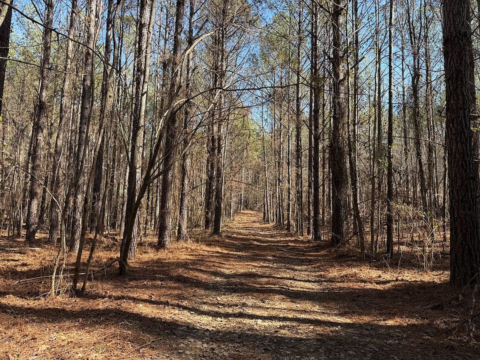 Ac30d1ba A21d 4aca B63c 2f4e529e83ca