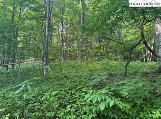 LOT 10 Billy Bob Ln, Creston, NC 28615