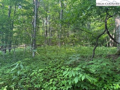 Lot 10 Billy Bob Lane, Creston, NC, 28615