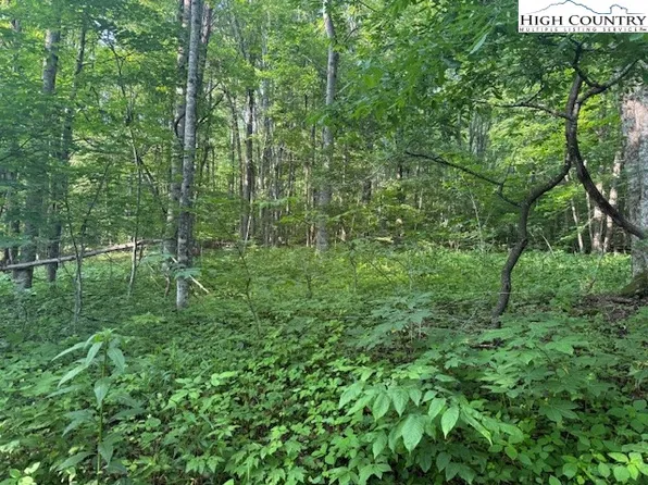 Lot 10 Billy Bob Lane, Creston, NC 28615