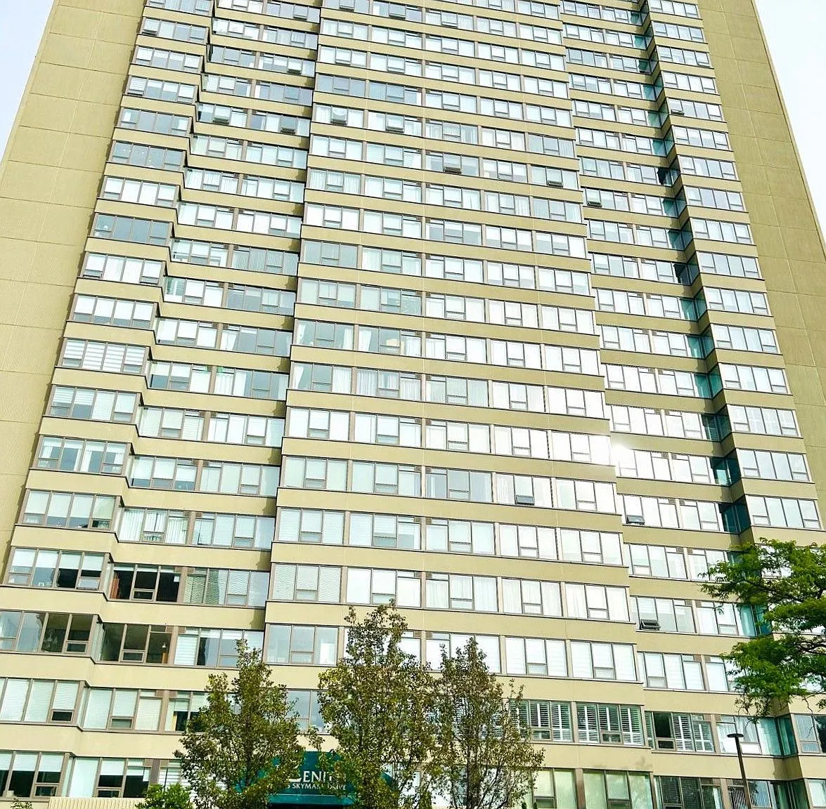 The Zenith — Photo 1